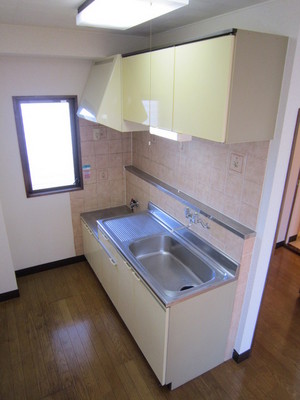 Kitchen. There are windows in the kitchen