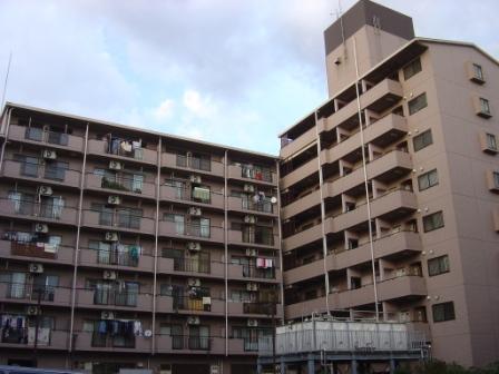 Building appearance. Outer wall tile Zhang, 8-story