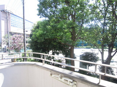 View. The view from the balcony