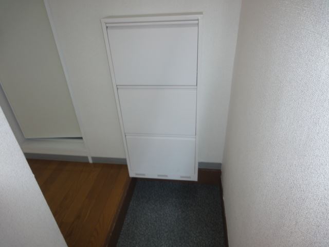 Entrance. Entrance With cupboard