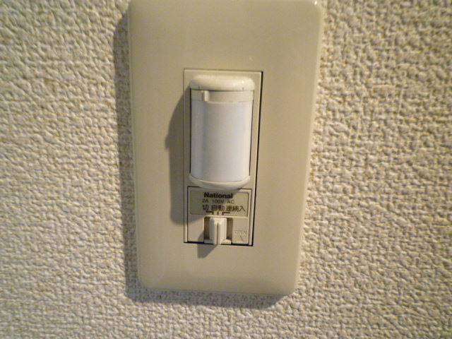 Entrance. Entrance lights are lit automatically by a sensor