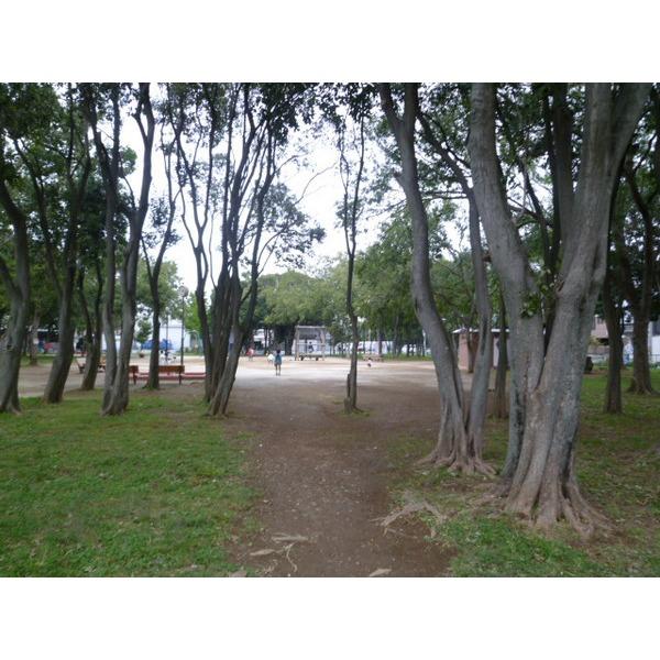 park. Municipal Shinozaki 391m up to 6-chome second Square