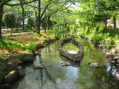 park. Ichinoe Sakaigawa 165m to green space (park)