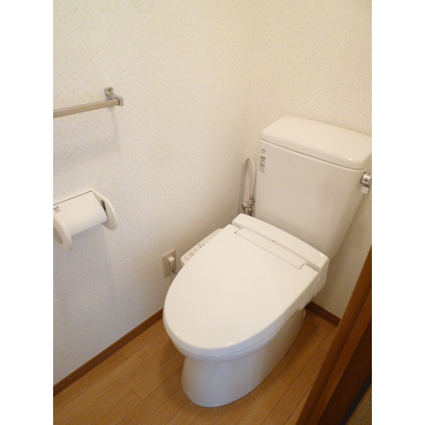 Toilet. Separate photo