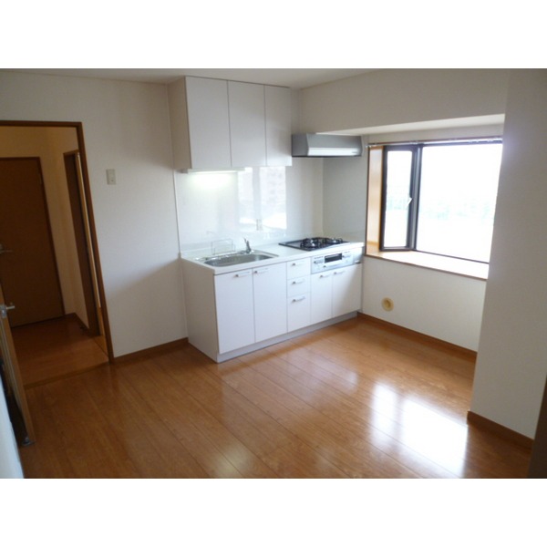 Living and room. Separate photo