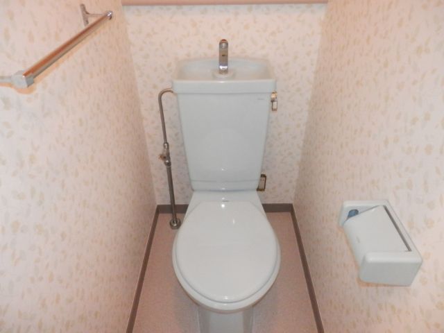 Toilet. Toilet