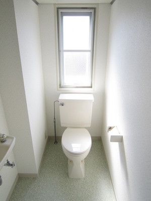 Toilet. There is a window in the toilet