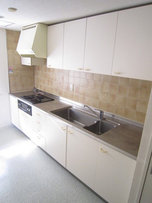 Kitchen. System kitchen