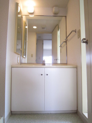 Washroom. Wash basin equipped independent