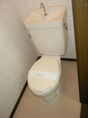 Toilet. Toilet