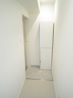 Entrance. Shoe box equipped