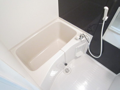 Bath. Bathroom with cleanliness