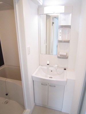 Washroom. Shampoo dresser