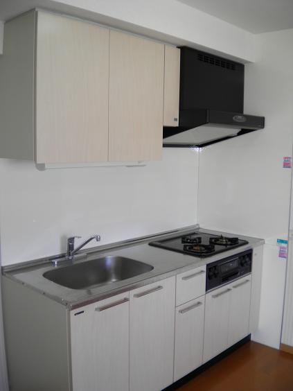 Kitchen. System kitchen