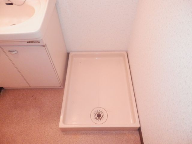 Washroom. Indoor laundry Area