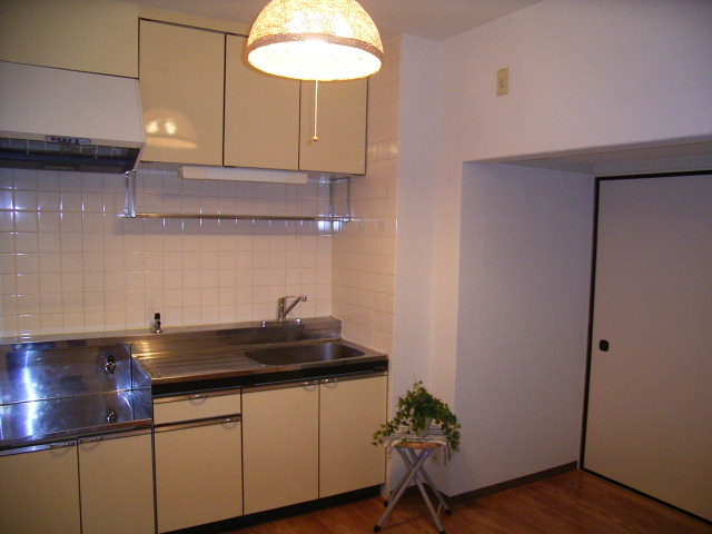 Kitchen. You can set up the stove of taste that suits