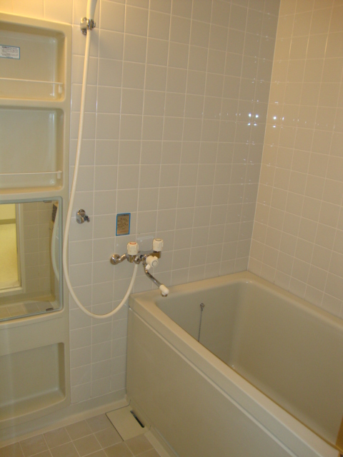 Bath. Images of the same type of room