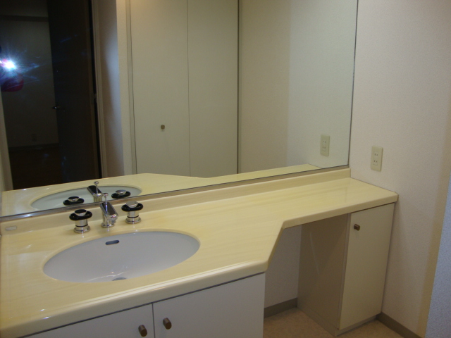 Washroom. Images of the same type of room