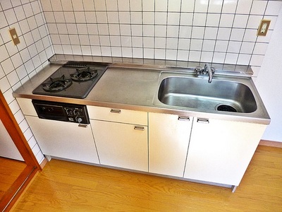 Kitchen. Useful system Kitchen! With mandatory grill for those who grilled fish likes