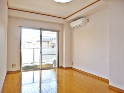 Living and room. Beautiful interior! Yang per also good