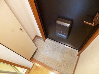 Entrance. It is the entrance space! There are shoe box