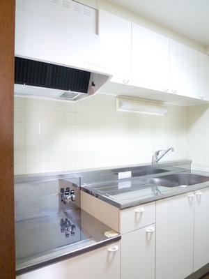 Kitchen. Worry come suddenly customers. Independent kitchen.