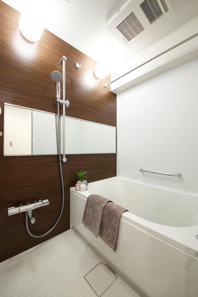 Bathroom. Indoor (11 May 2013) Shooting