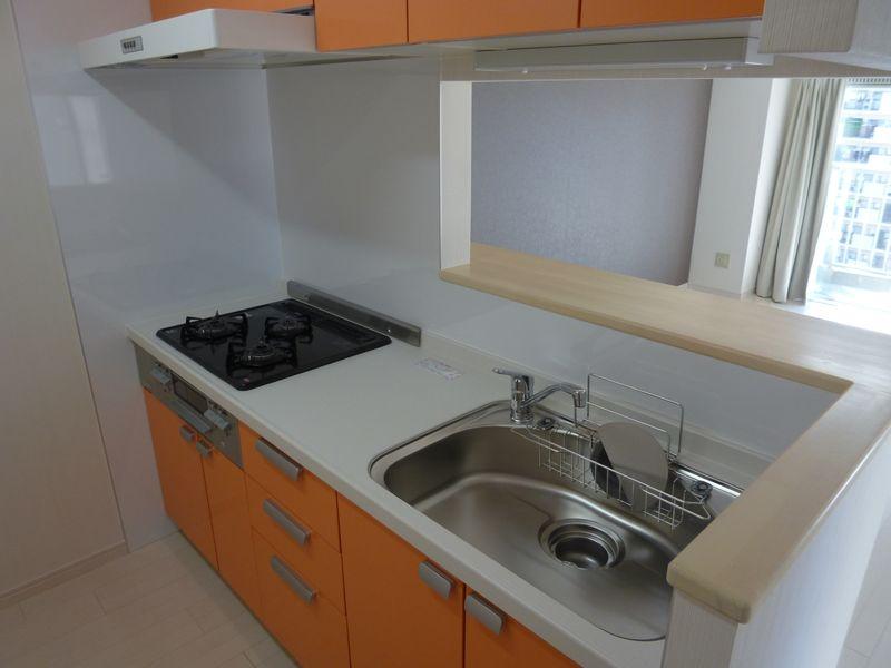 Kitchen. Popular system Kitchen