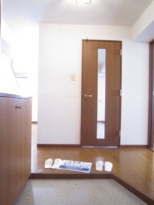 Entrance. With a shoe box / Entrance