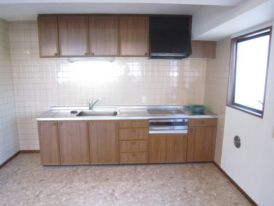 Kitchen. IH gas stove kitchen / With grill