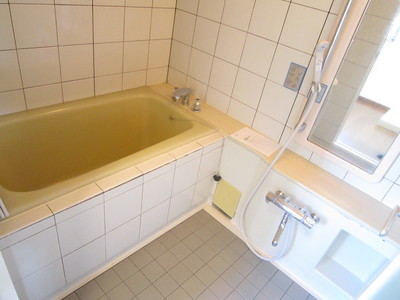 Bath. With mirror / bus