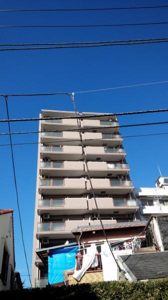 Local appearance photo. Appearance (December 2013 shooting)