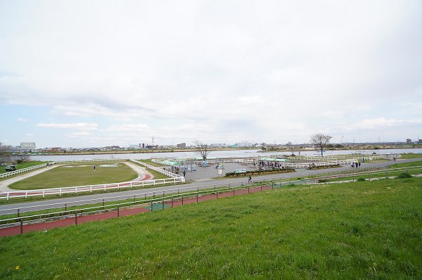 Other. 150m until the Edogawa river (pony land) (Other)