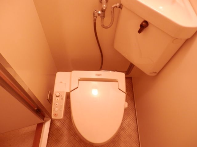 Toilet. Toilet