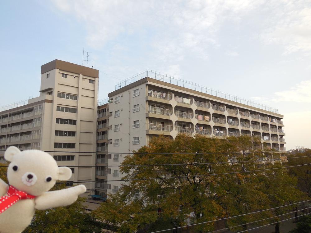 Local appearance photo. It is adjacent to the water park. Local (10 May 2013) Shooting