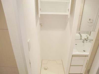 Other. This washing machine storage with shelf