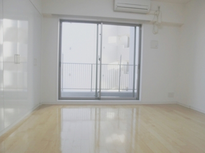 Living and room. Beautiful O'Hare! 