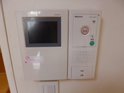 Security. Peace of mind with monitor interface - Hong