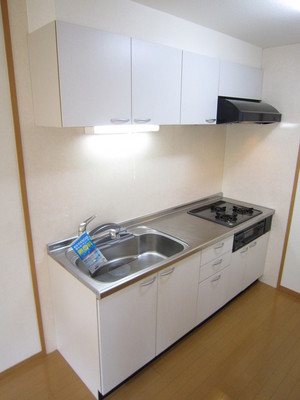 Kitchen. 3-neck grill kitchen