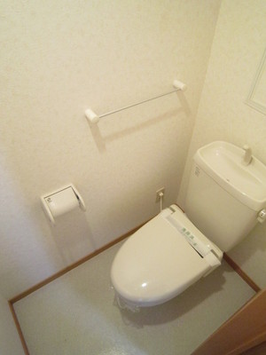 Toilet. Warm water washing toilet seat