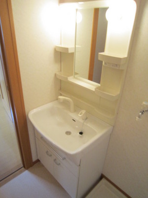 Washroom. Shampoo dresser equipped