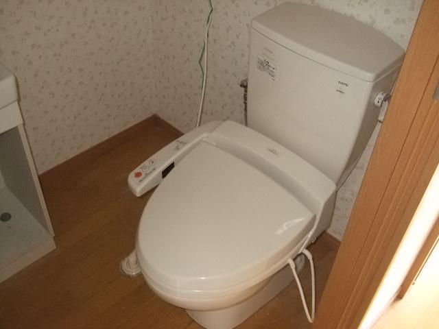 Toilet. Washlet toilet
