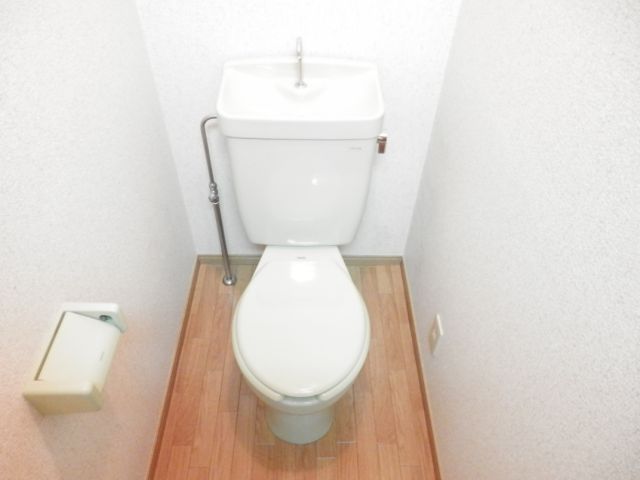Toilet. Toilet