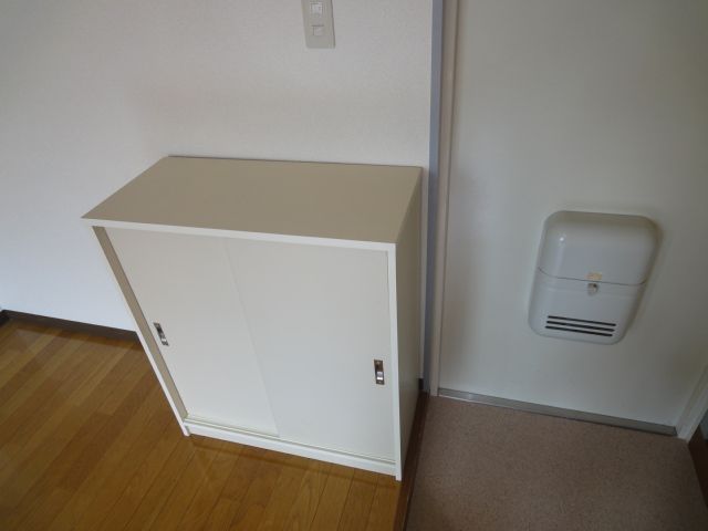 Entrance. But it is not here and there are shoes at the door and there is a shoebox