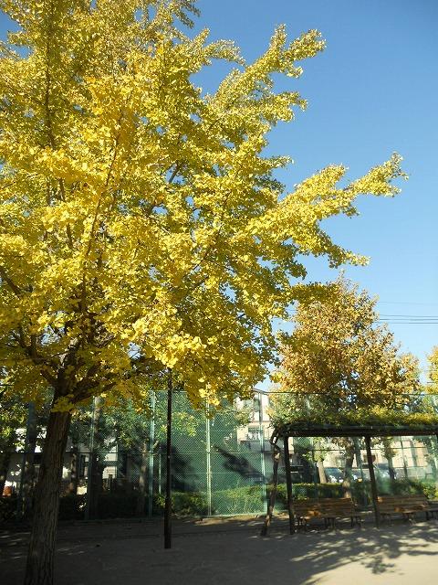 park. 400m to Matsushima 2-chome Park