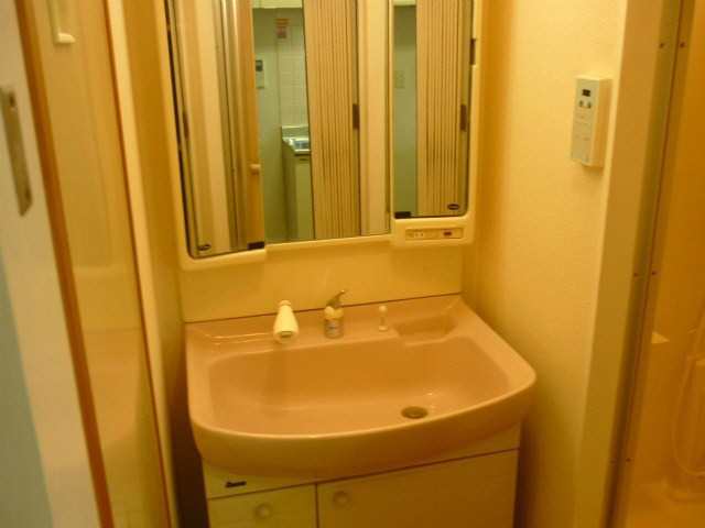 Washroom. Shampoo dresser