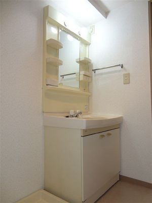 Washroom. It is a photograph of the same property by room. (Reference photograph)