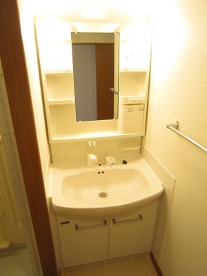 Washroom. There washbasin independent