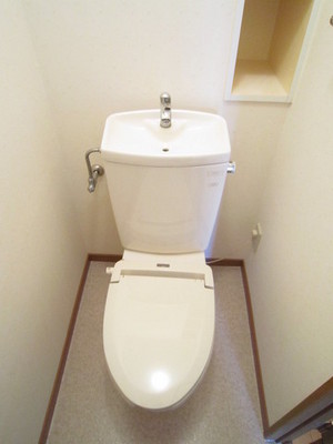 Toilet. You can stored in the shelf