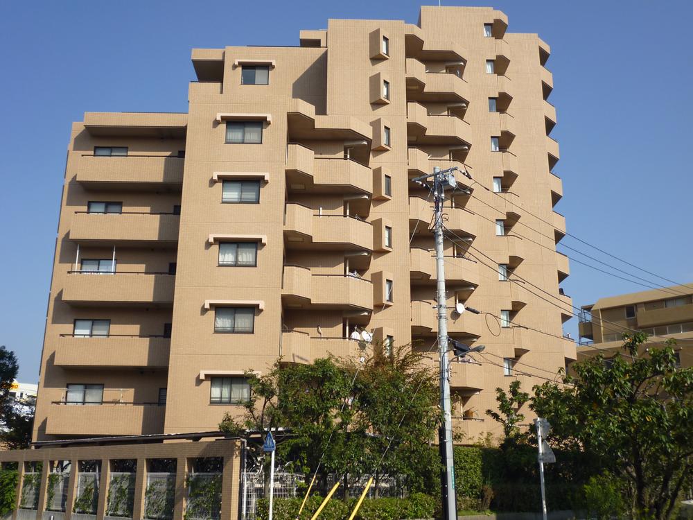 Local appearance photo. Local (11 May 2013) Shooting